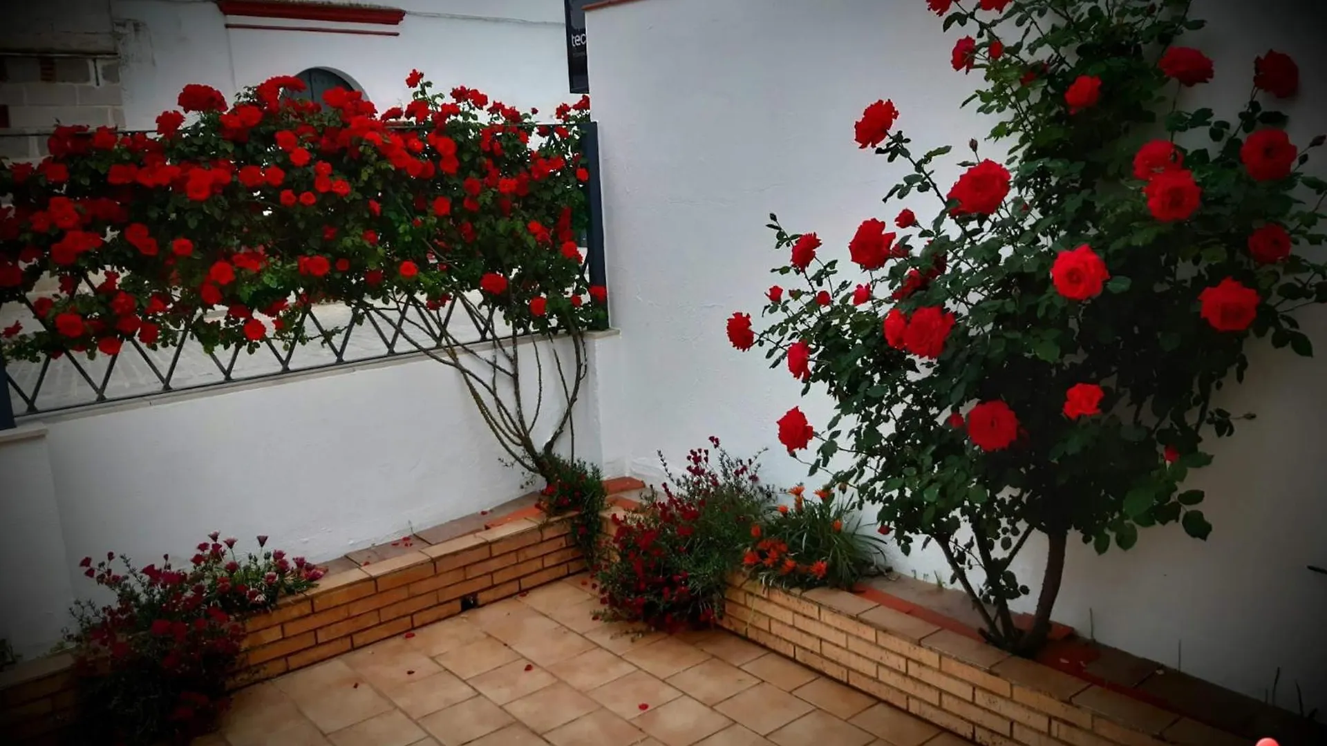 Casa Rural La Pariente El Real de la Jara 0*,  Spanien